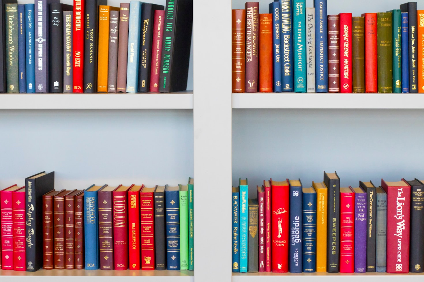How Reading Shapes Our Understanding of the World